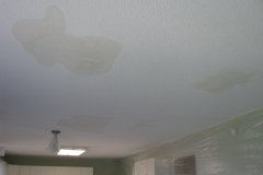 Ceiling Stains Before Nepean