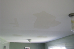Ceiling Stains Before Ottawa
